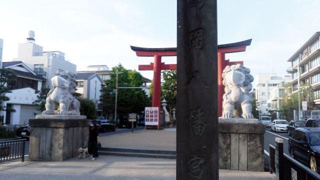 鶴岡八幡宮の狛犬さん
